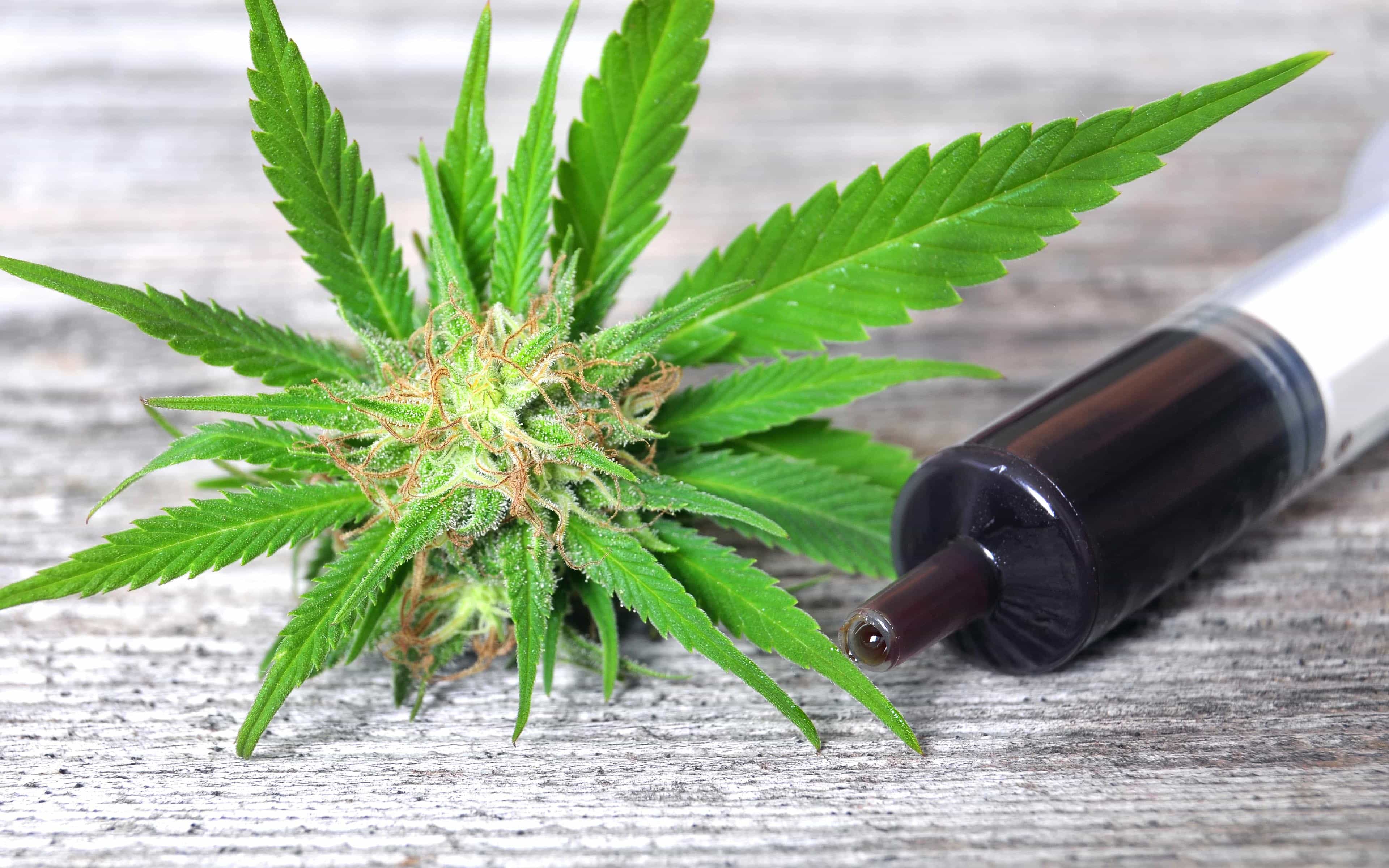 Medicinal Cannabis Oil 