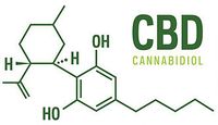 Cannabis & Cancer