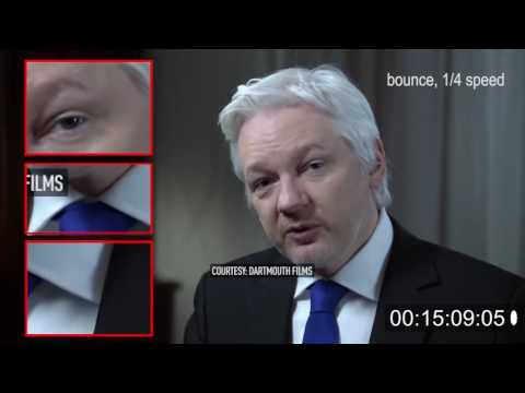 Is Julian Assange of Wikileaks