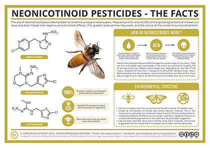  BEE Extinction  | The Daily Dialectic