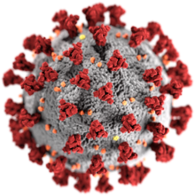  Coronavirus disease (COVID-19)